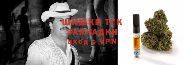хмурый Верхний Тагил