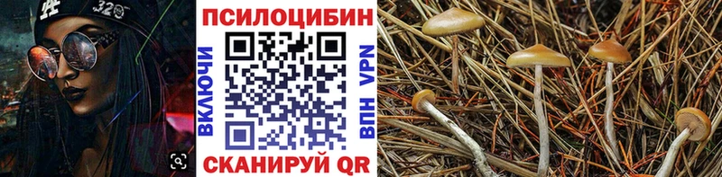 Псилоцибиновые грибы ЛСД  закладки  Нурлат 