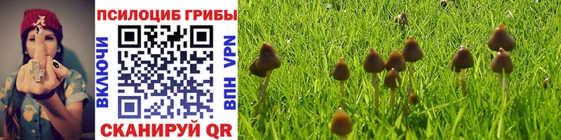 Псилоцибиновые грибы мицелий Нурлат